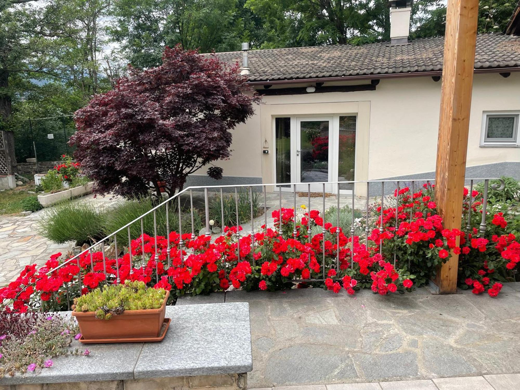 La Casina Di Oscar Ad Ao V Combe Vda Quart 0014 E 00I6 Apartment Bagian luar foto